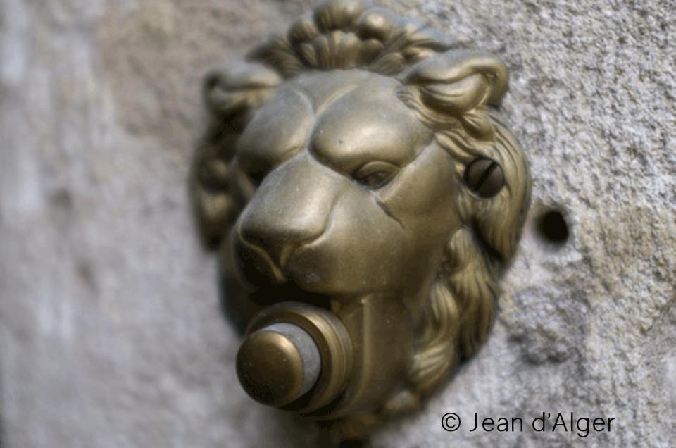 lion-photo-jean-d-alger_still_tmp