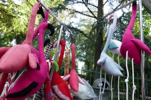 adoptez-un-flamand-rose