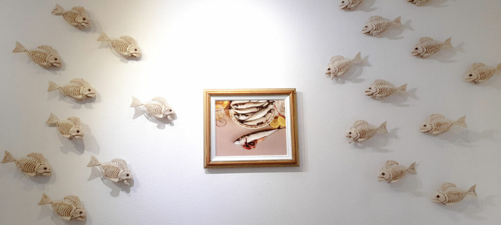 installations plasticiennes dans Natures mortes mortes exposition à Arles Gallery