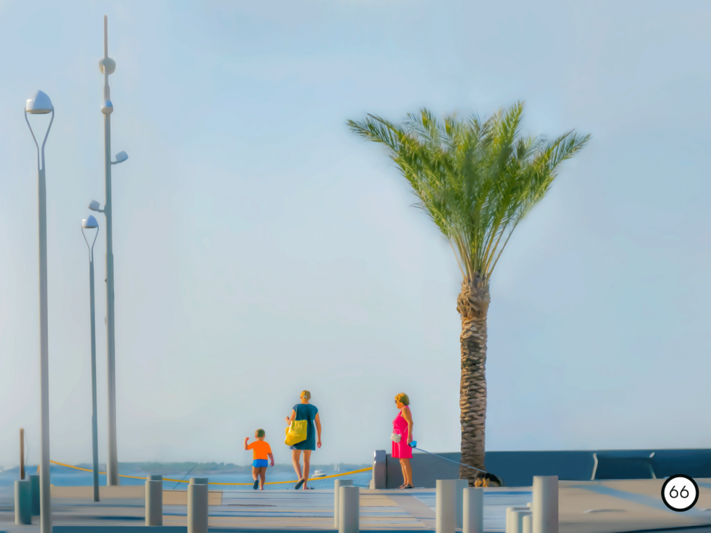 Photo de personne et d'un palmier marchant au bord de la plage de la grande motte