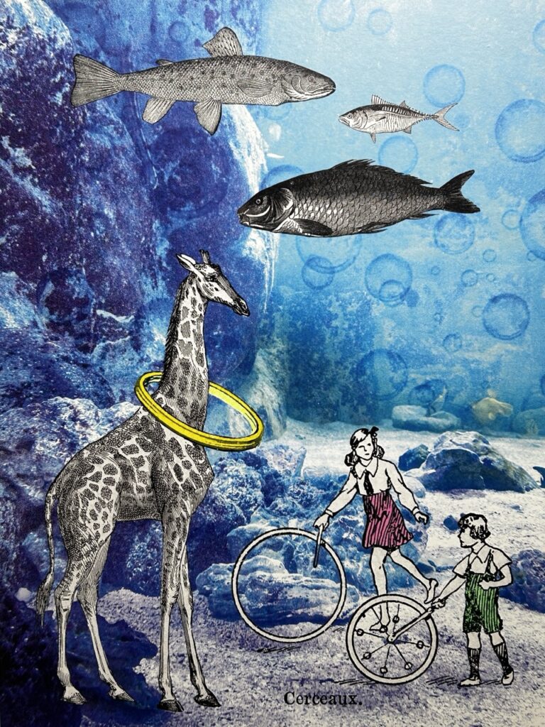 Une girafe portant un large anneau jaune autour du coup et deux autres personne dans la mer et sous les poissons