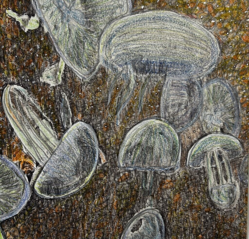 Dessin de méduse sur toile